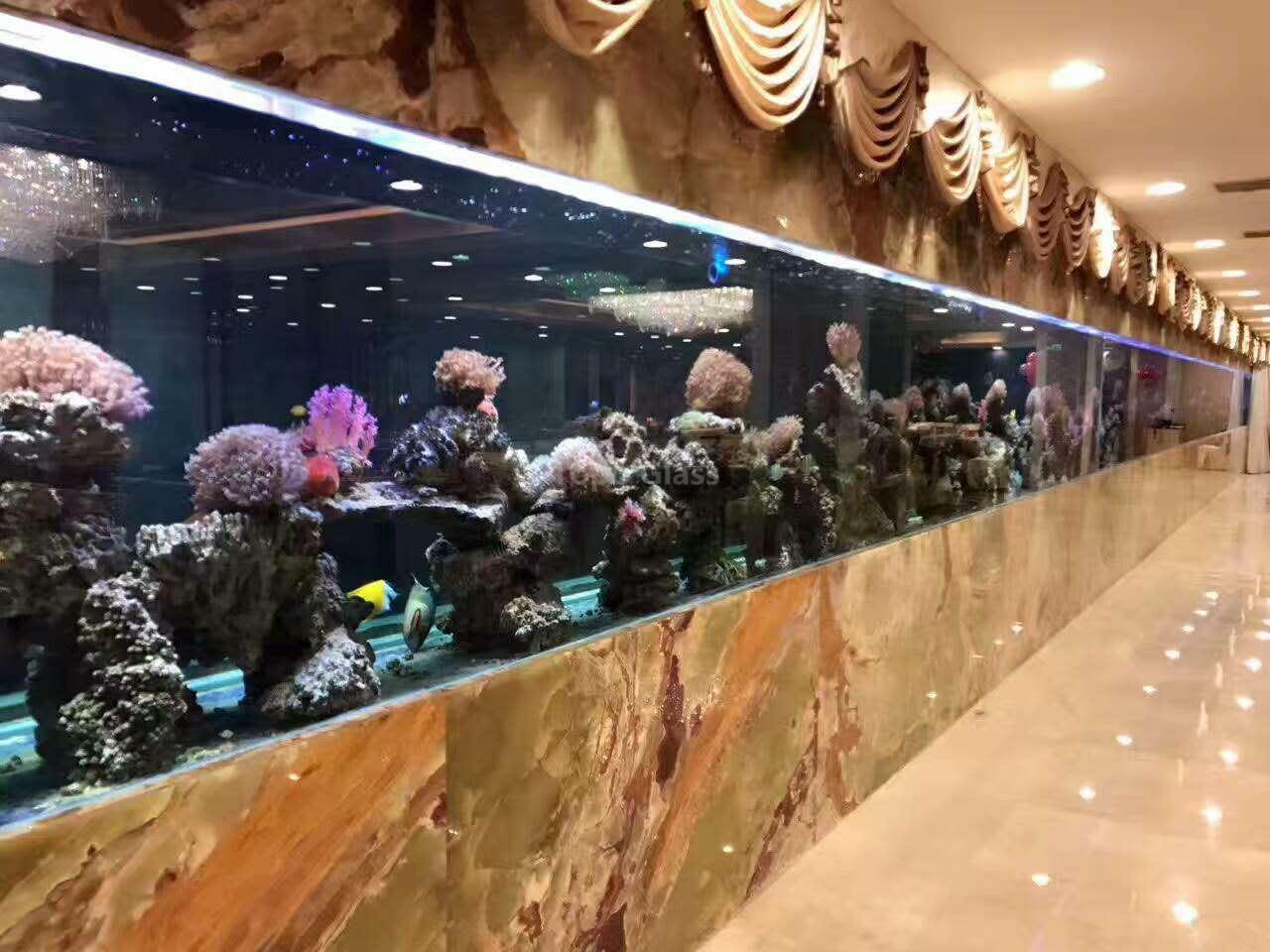 Fish Tank Glass