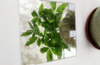 5mm Antique Mirror Glass for Decoration