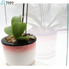 Clear Magic Beauty Mirror Glass For Bathroom