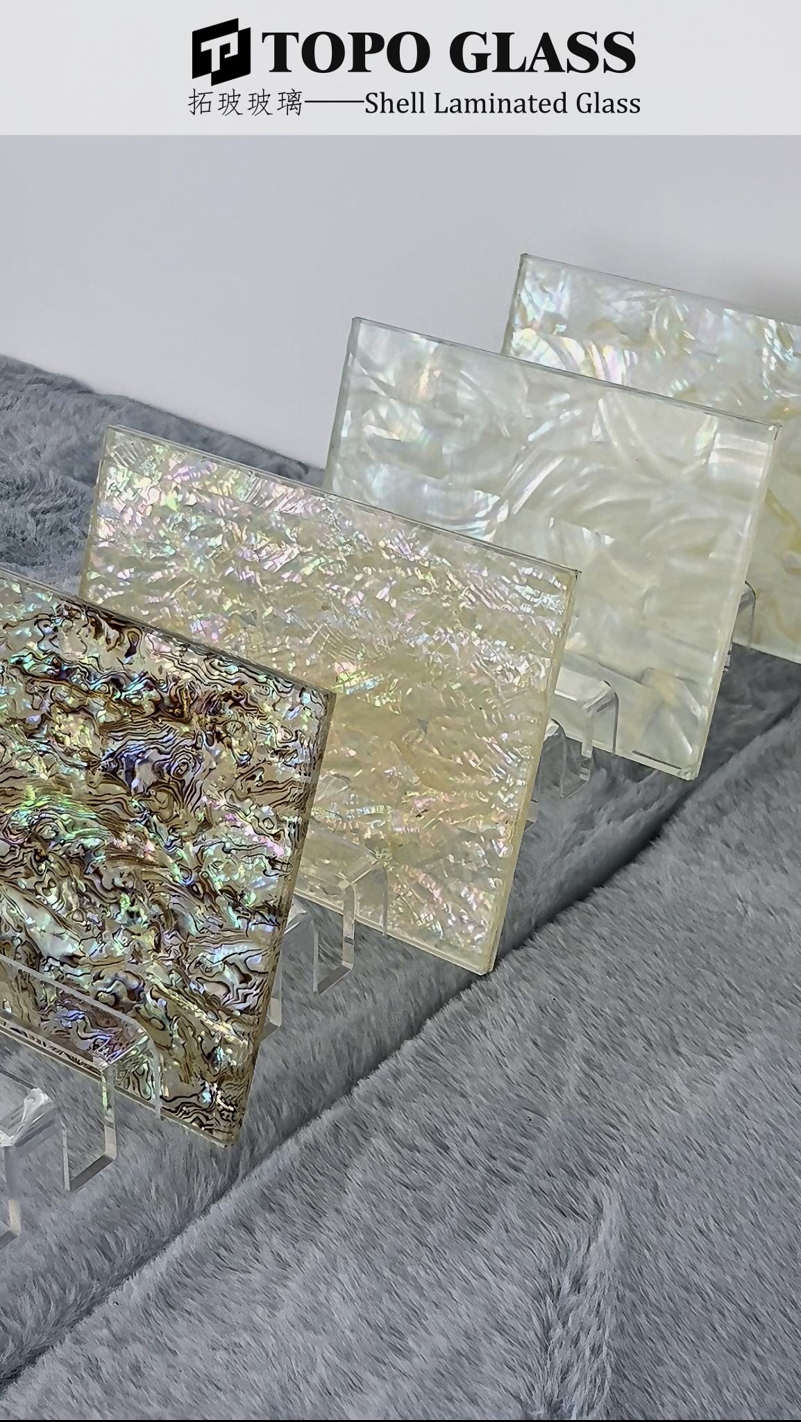 Shell Laminated Glass (1)