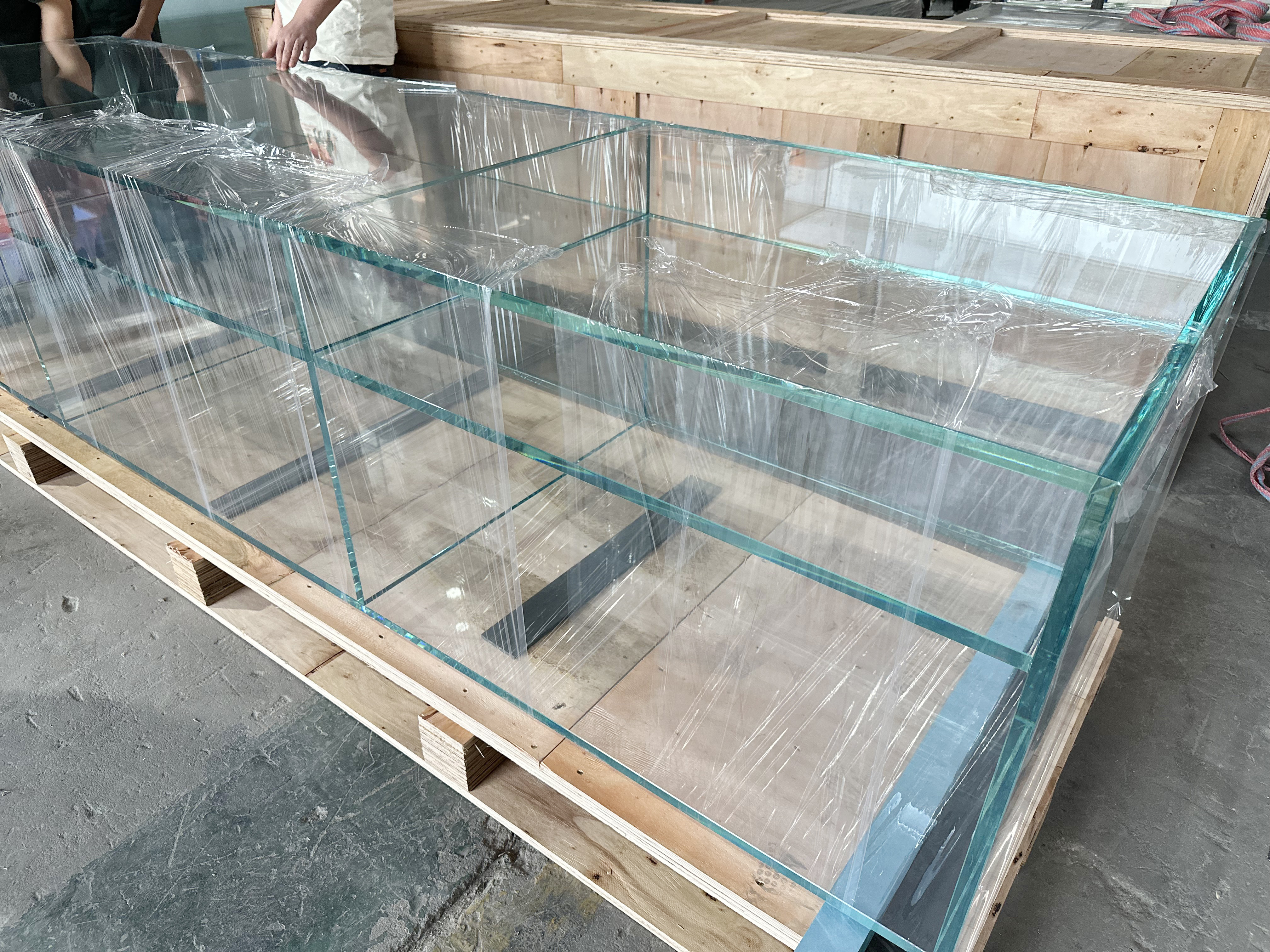Glass Display Cabinet