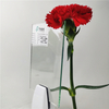5mm 6mm 8mm Functional Low Efficient Low E Glass