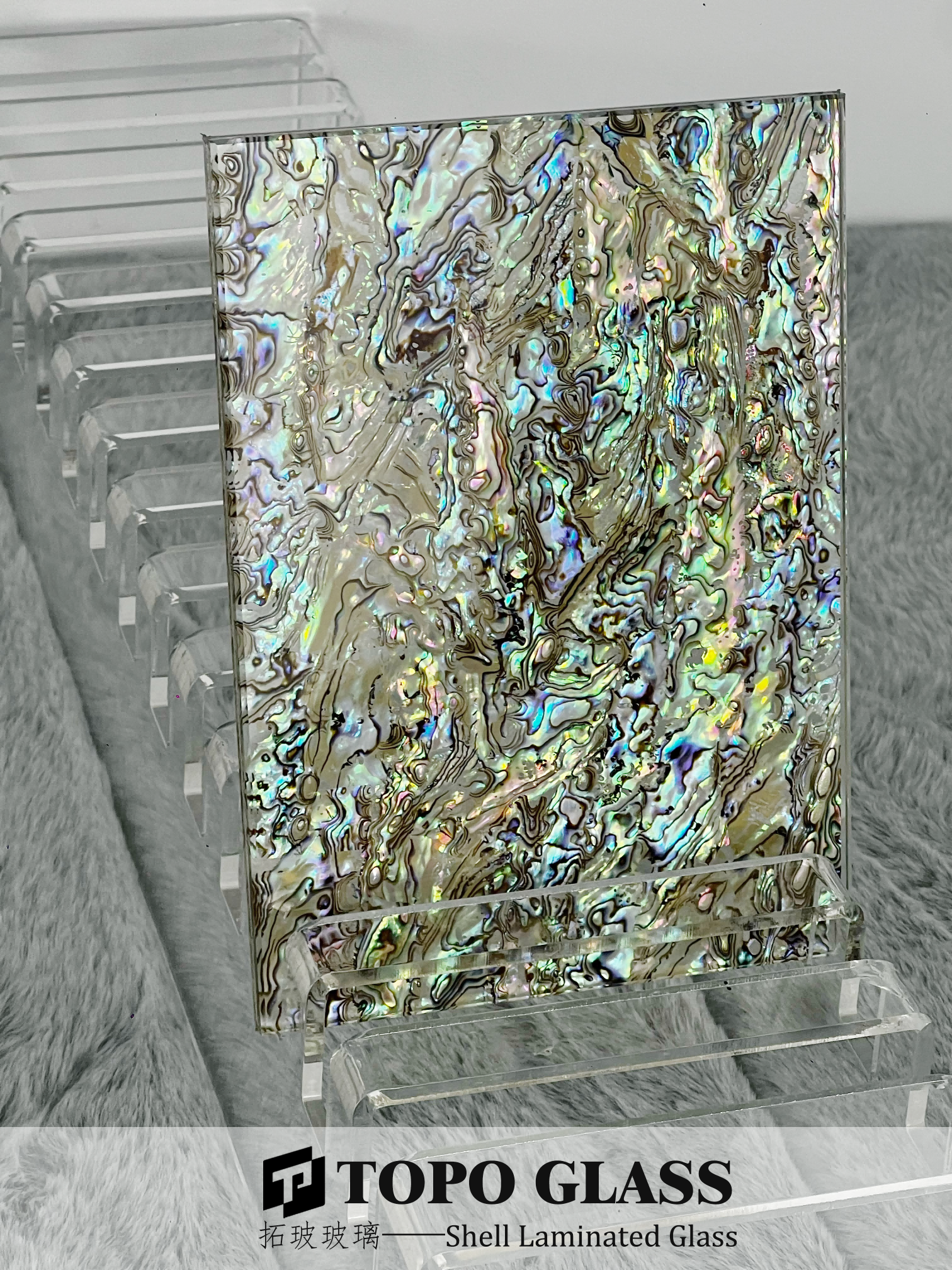 Shell Laminated Glass