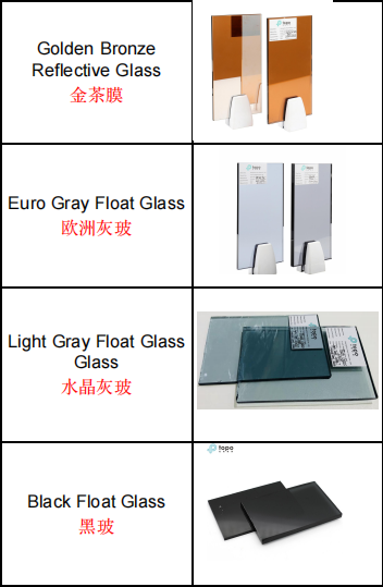 UAE Client Visits TopoGlass Strengthening Cooperation with Chinese Glass Manufacturer (4)