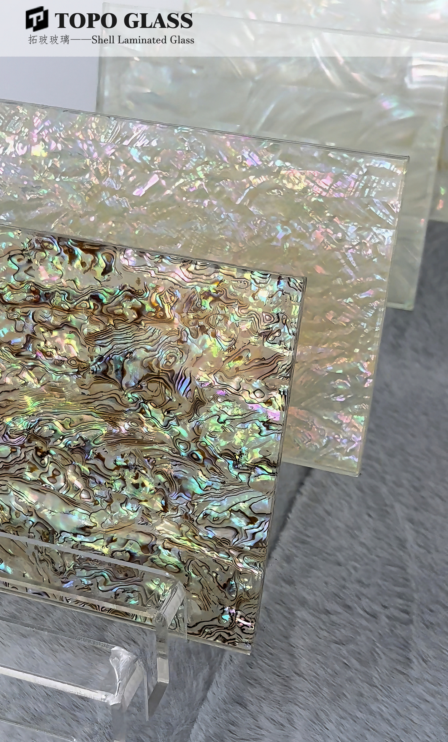 Shell Laminated Glass (4)