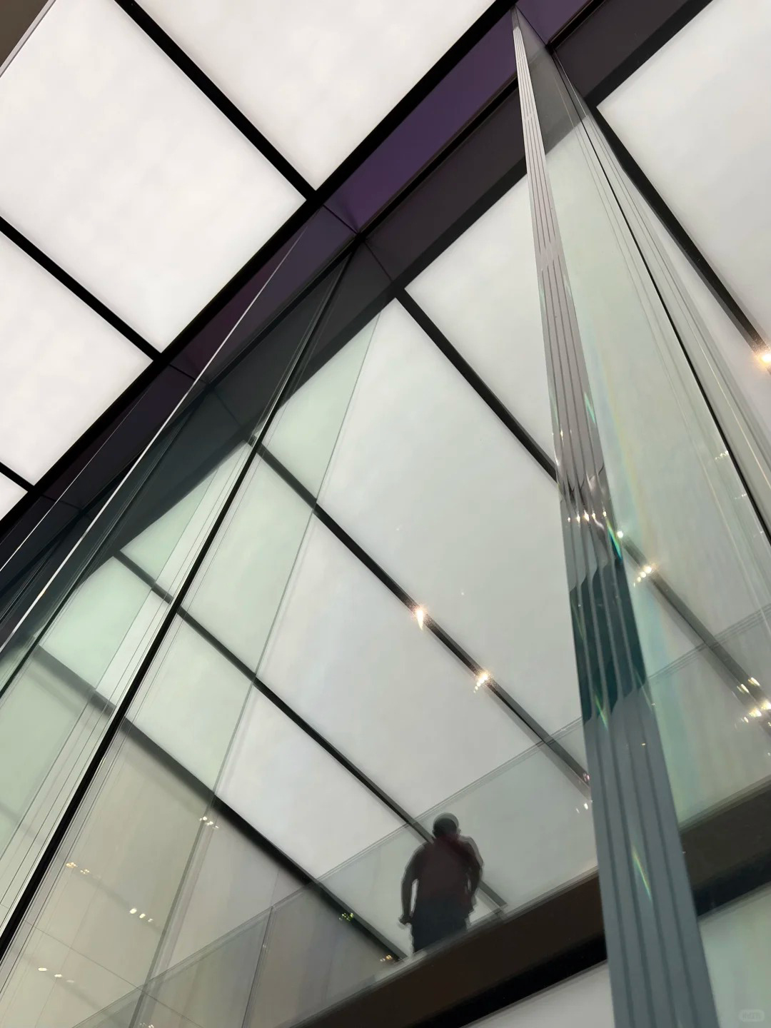Laminated glass (8)