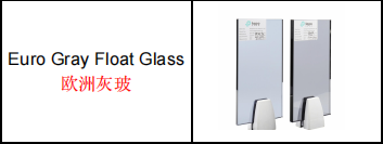 UAE Client Visits TopoGlass Strengthening Cooperation with Chinese Glass Manufacturer (1)