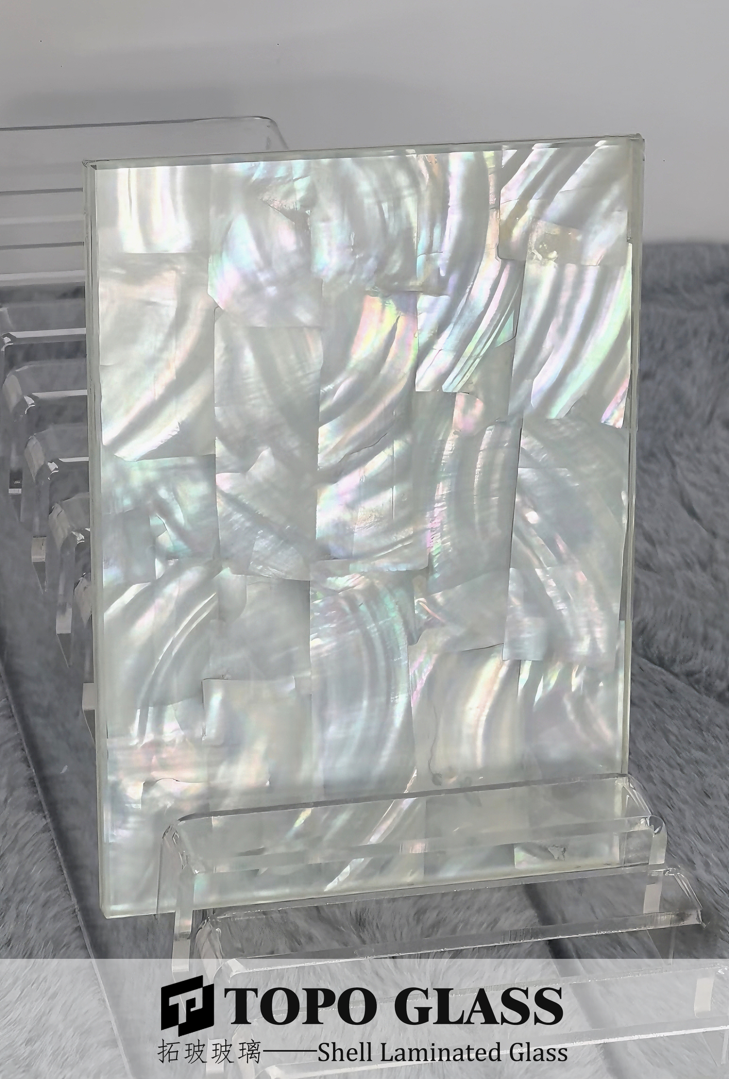 Shell Laminated Glass (5)