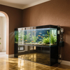 Aquarium Glass